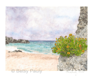 Bermuda-Beach-II