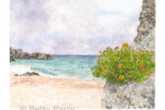 Bermuda-Beach-II