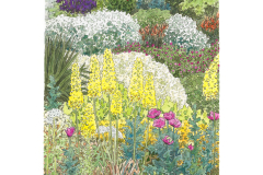 Blooming Garden