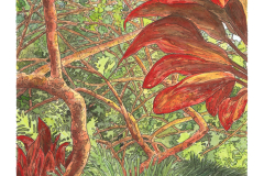 Color in a Thicket