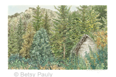 Norwegian Cabin