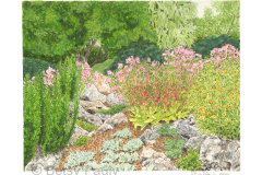 Rock Garden