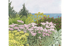 Seaside Garden