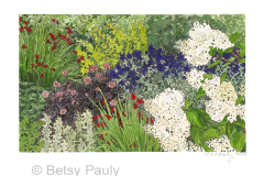 Summer Garden 2
