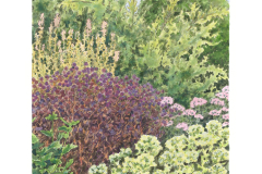 Summer Garden 3