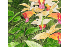 Tropical Bloom