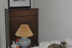 Chipy art imitates life