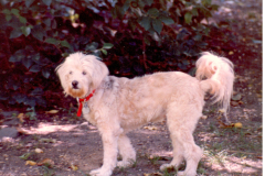 Jamie the Lost Soul page 207